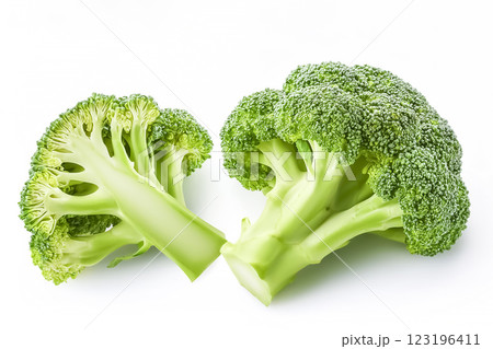 ブロッコリーのイメージ素材 ブロッコリーのイメージ素材 123196411