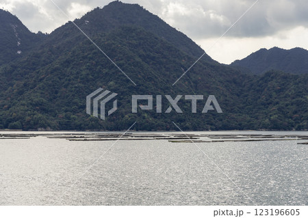 【広島宮島口　宮島口JR西日本宮島フェリーからの蠣いかだ】 123196605