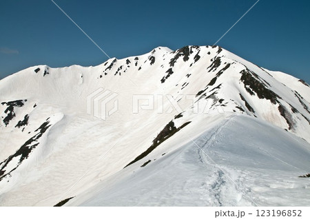 仙丈ヶ岳 123196852