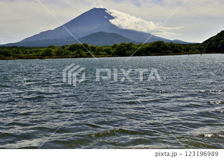 山梨県 精進湖の他手合浜より望む子抱き富士の景観 山梨県 精進湖の他手合浜より望む子抱き富士の景観 123196989