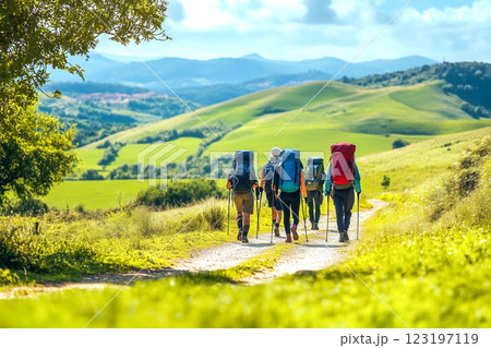 Pilgrims with backpacks walking the Camino de Santiago in Spain, Way of St James 123197119