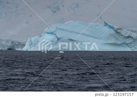 Snow and ice in Antarctica Snow and ice in Antarctica 123197157