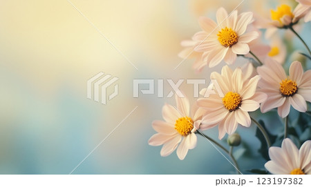 パステルカラーのデイジーの花の背景素材 123197382