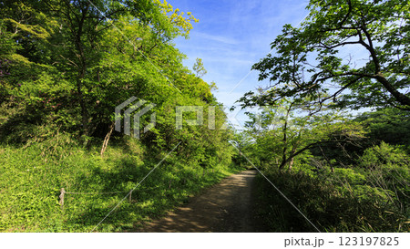 戸塚区舞岡ふるさと公園の田圃 123197825