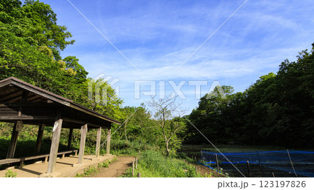 戸塚区舞岡ふるさと公園の田圃 123197826