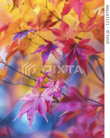 鮮やかな紅葉の背景　AI画像 123197996