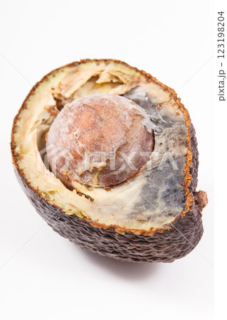 Old moldy avocado. Unhealthy and disgusting fruit Old moldy avocado. Unhealthy and disgusting fruit 123198204