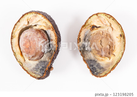 Old moldy avocado. Unhealthy and disgusting fruit 123198205