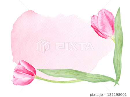 Tulips watercolor horizontal card isolated on white. Hand painted delicate pink spring flower, eco design. High quality clip art perfect for mother's day, women's day cards, albums, banners, decor Tulips watercolor horizontal card isolated on white. Hand painted delicate pink spring flower, eco design. High quality clip art perfect for mother's day, women's day cards, albums, banners, decor 123198601