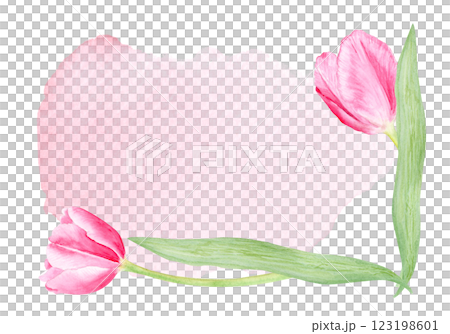 Tulips watercolor horizontal card isolated on white. Hand painted delicate pink spring flower, eco design. High quality clip art perfect for mother's day, women's day cards, albums, banners, decor Tulips watercolor horizontal card isolated on white. Hand painted delicate pink spring flower, eco design. High quality clip art perfect for mother's day, women's day cards, albums, banners, decor 123198601