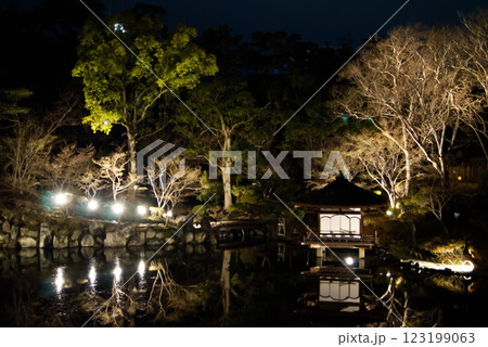 西の丸公園の茶室のライトアップ 紅葉渓庭園 西の丸公園の茶室のライトアップ 紅葉渓庭園 123199063