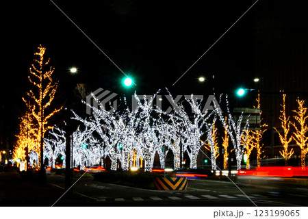 公園前通りの街路樹にLEDの光でライトアップ 公園前通りの街路樹にLEDの光でライトアップ 123199065