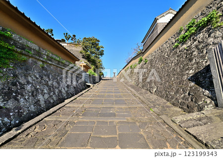 豊後 杵築城 模擬天守と武家屋敷 123199343