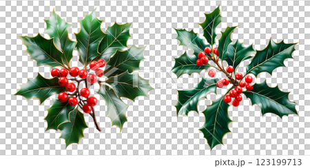 Set of holly branches with red berries isolated on a transparent background. Collection of festive holly leaves and berries, classic Christmas decoration for holiday designs and seasonal projects. Set of holly branches with red berries isolated on a transparent background. Collection of festive holly leaves and berries, classic Christmas decoration for holiday designs and seasonal projects. 123199713