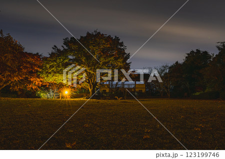 夜の浜松市の紅葉した木のある鳥羽山公園の風景(静岡県) 123199746