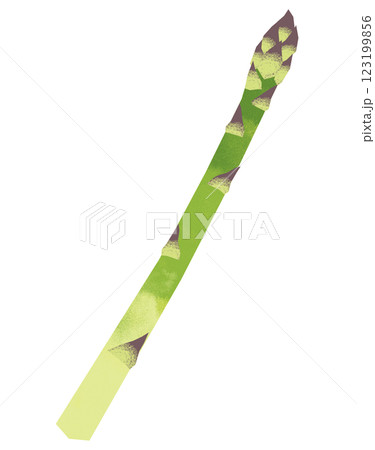 シンプルな切り絵風のアスパラガス 123199856