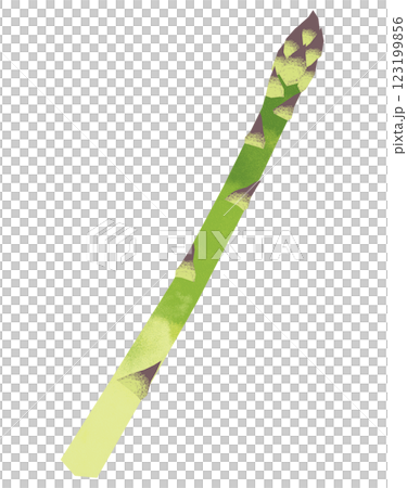 シンプルな切り絵風のアスパラガス 123199856