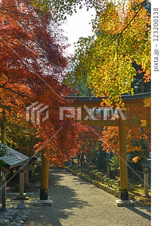紅葉に染まる境内 123200138
