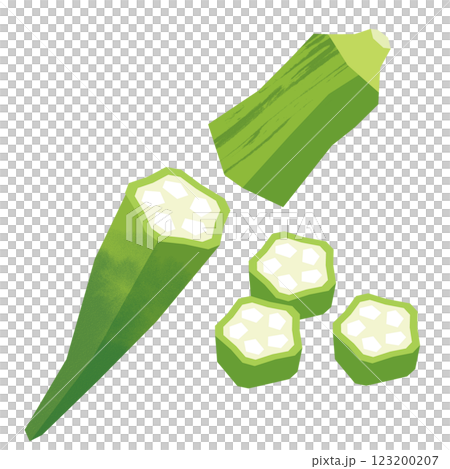 切り絵風のオクラ 123200207