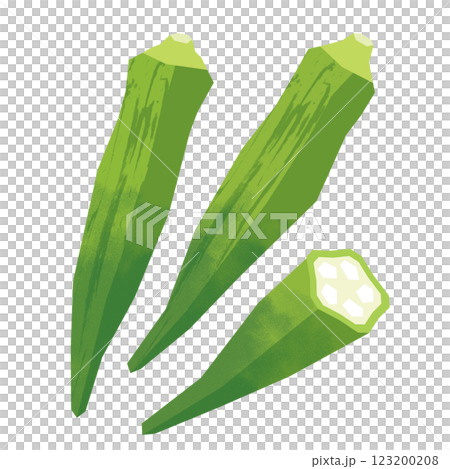 切り絵風のオクラ 切り絵風のオクラ 123200208