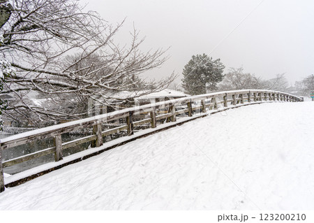 雪の渡月橋 123200210