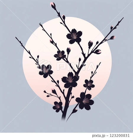 桜の枝のシルエット 123200831