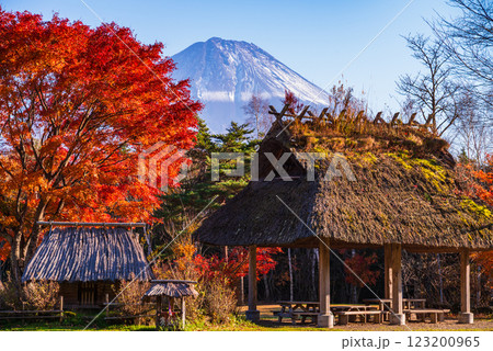 【山梨県】西湖野鳥の森公園 　紅葉と富士山 123200965