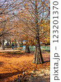 公園 パーク 園 123201370