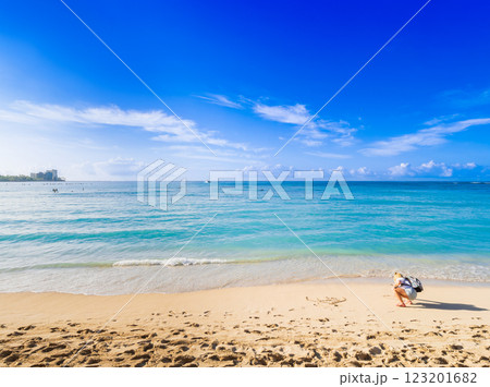 夏・海・ビーチイメージ ハワイ 夏・海・ビーチイメージ ハワイ 123201682