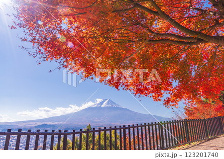 【山梨県】紅葉が美しい新倉山浅間公園から見る新雪富士 123201740