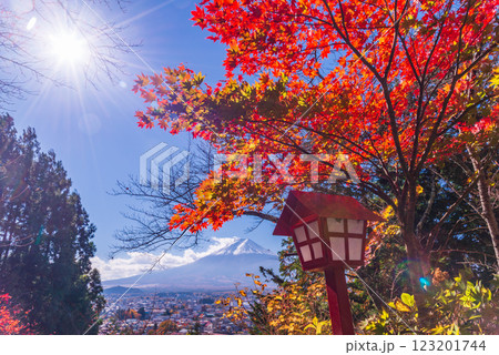 【山梨県】紅葉が美しい新倉山浅間公園から見る新雪富士 【山梨県】紅葉が美しい新倉山浅間公園から見る新雪富士 123201744