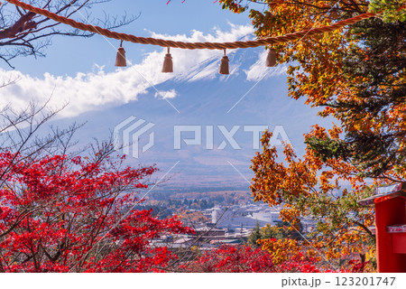 【山梨県】紅葉が美しい新倉山浅間公園から見る新雪富士 【山梨県】紅葉が美しい新倉山浅間公園から見る新雪富士 123201747