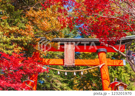 【山梨県】紅葉が美しい新倉山浅間公園　浅間神社参道の赤鳥居 123201970