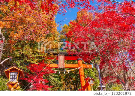 【山梨県】紅葉が美しい新倉山浅間公園 浅間神社参道の赤鳥居 【山梨県】紅葉が美しい新倉山浅間公園 浅間神社参道の赤鳥居 123201972