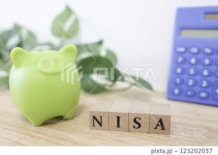 NISA 豚の貯金箱 123202037