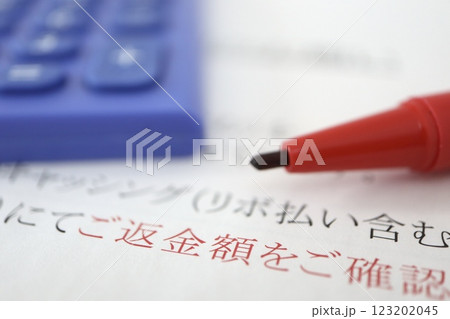 キャッシングやリボ払いにおける返金額確認の書類 キャッシングやリボ払いにおける返金額確認の書類 123202045