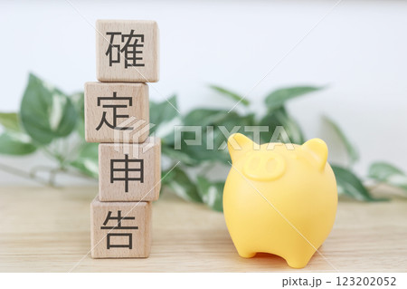 確定申告に関するイメージ 確定申告に関するイメージ 123202052