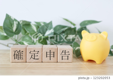 確定申告に関するイメージ 123202053