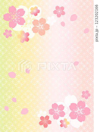 和柄の背景 123202166