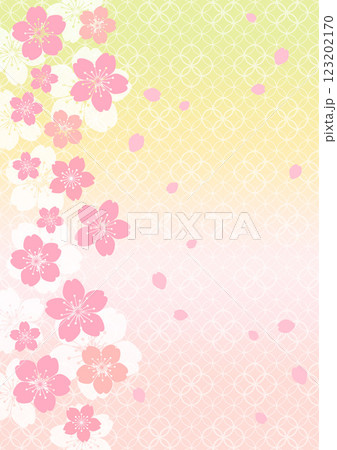 和柄の背景 123202170