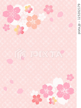 和柄の背景 123202179