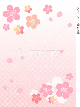 和柄の背景 123202235