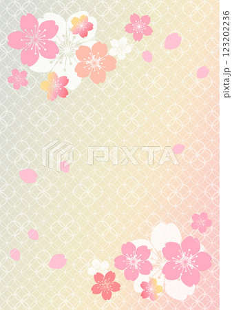 和柄の背景 和柄の背景 123202236