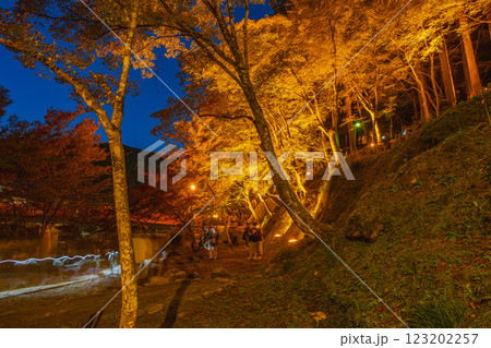 豊田市の秋の香嵐渓のライトアップされた紅葉の風景(愛知県) 豊田市の秋の香嵐渓のライトアップされた紅葉の風景(愛知県) 123202257