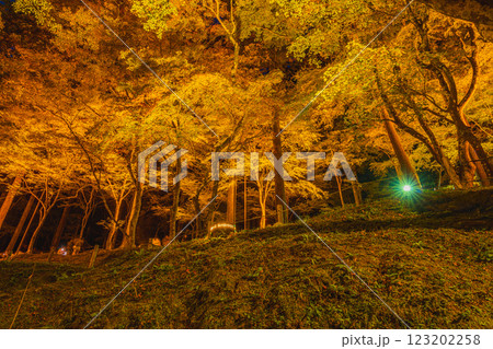 豊田市の秋の香嵐渓のライトアップされた紅葉の風景(愛知県) 豊田市の秋の香嵐渓のライトアップされた紅葉の風景(愛知県) 123202258