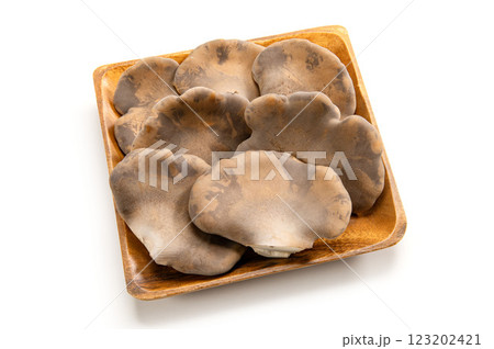 生の黒あわび茸 生の黒あわび茸 123202421