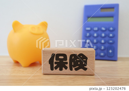 保険に関するイメージ 豚の貯金箱 保険に関するイメージ 豚の貯金箱 123202476