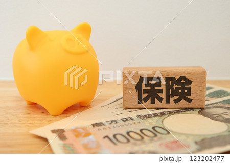 保険に関するイメージ 豚の貯金箱 保険に関するイメージ 豚の貯金箱 123202477
