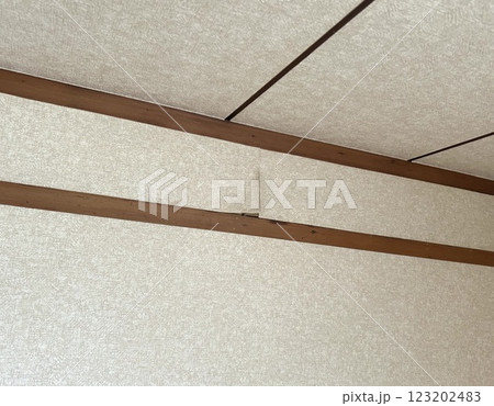 剥がれた壁紙クロス 123202483