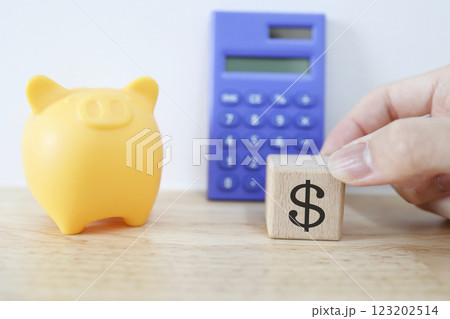 豚の貯金箱とドル記号 豚の貯金箱とドル記号 123202514
